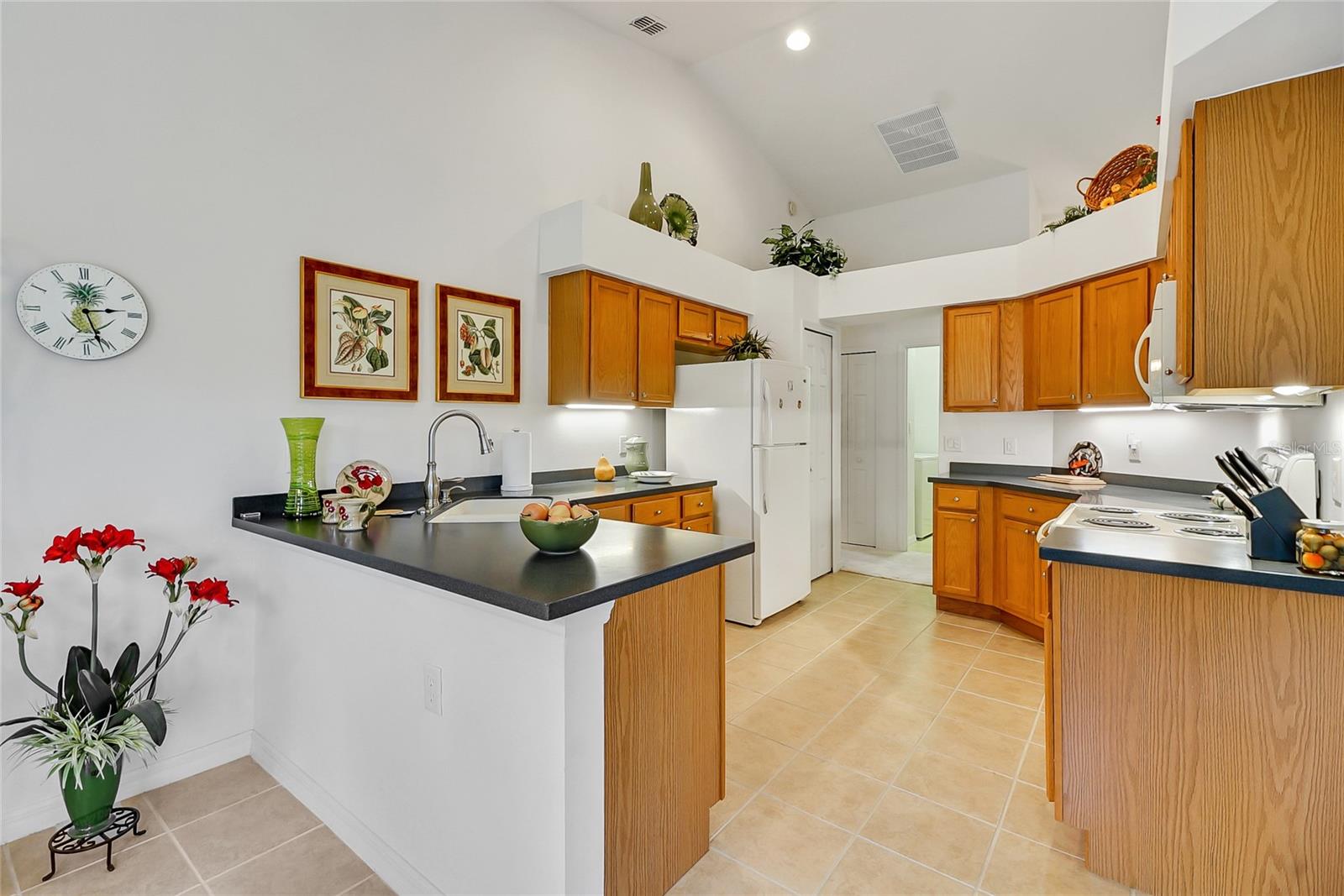 24128 ROBINWOOD ST, LEESBURG, FL, 34748