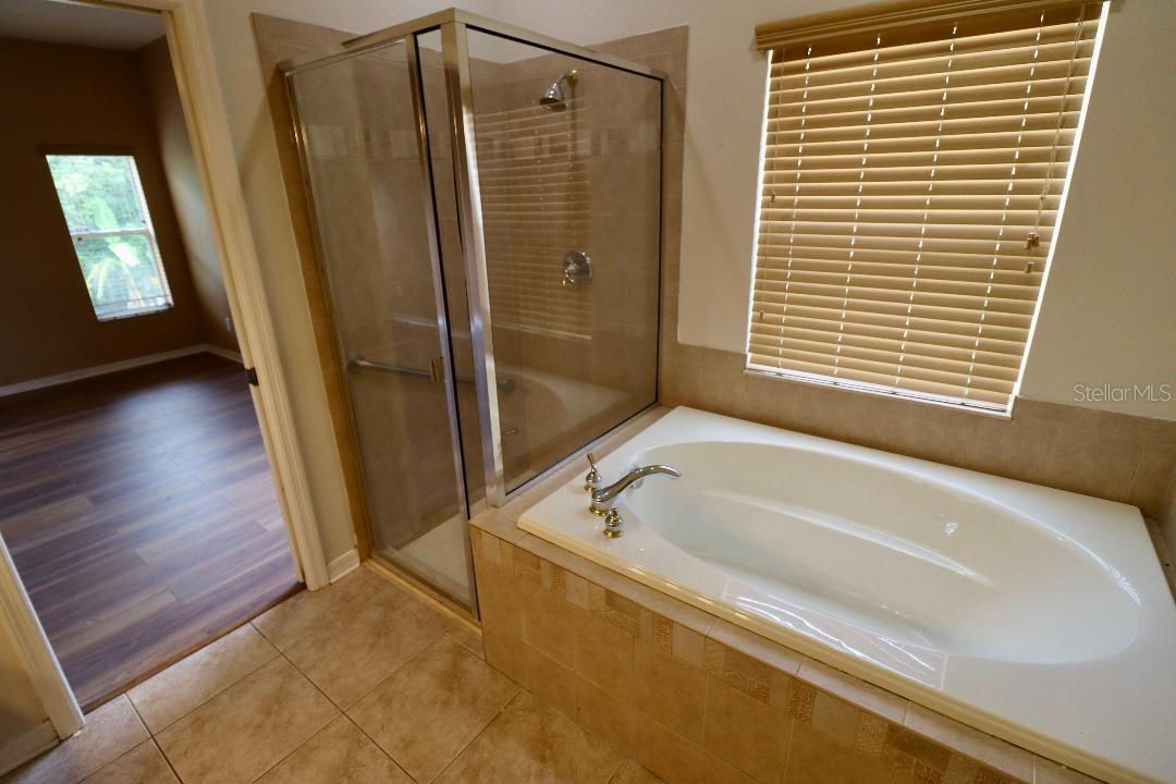 11445 BATHGATE CT, NEW PORT RICHEY, FL, 34654