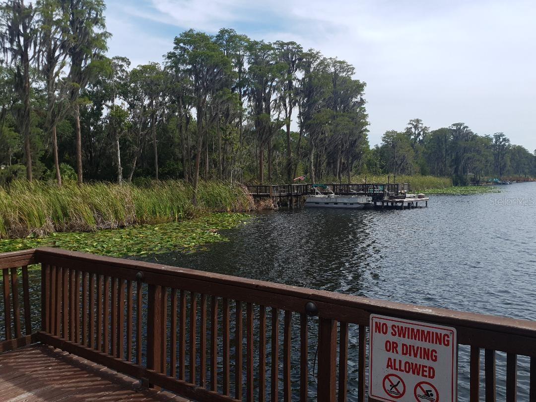 11445 BATHGATE CT, NEW PORT RICHEY, FL, 34654