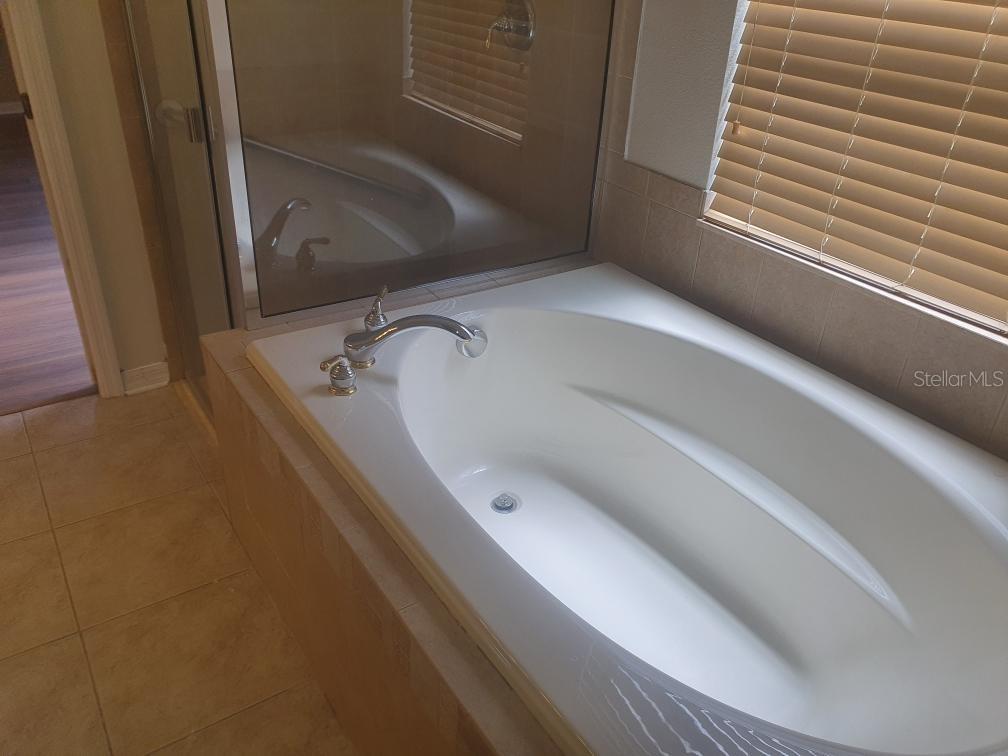 11445 BATHGATE CT, NEW PORT RICHEY, FL, 34654