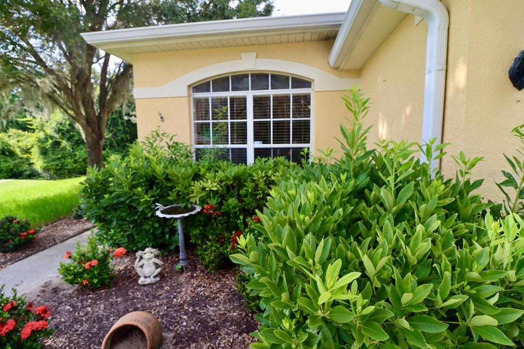 11445 BATHGATE CT, NEW PORT RICHEY, FL, 34654