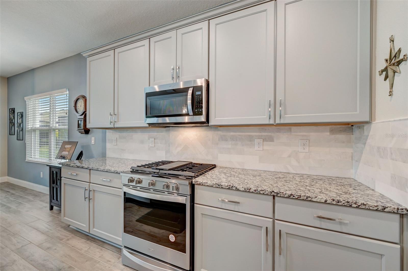 5521 LIMELIGHT DR, APOLLO BEACH, FL, 33572