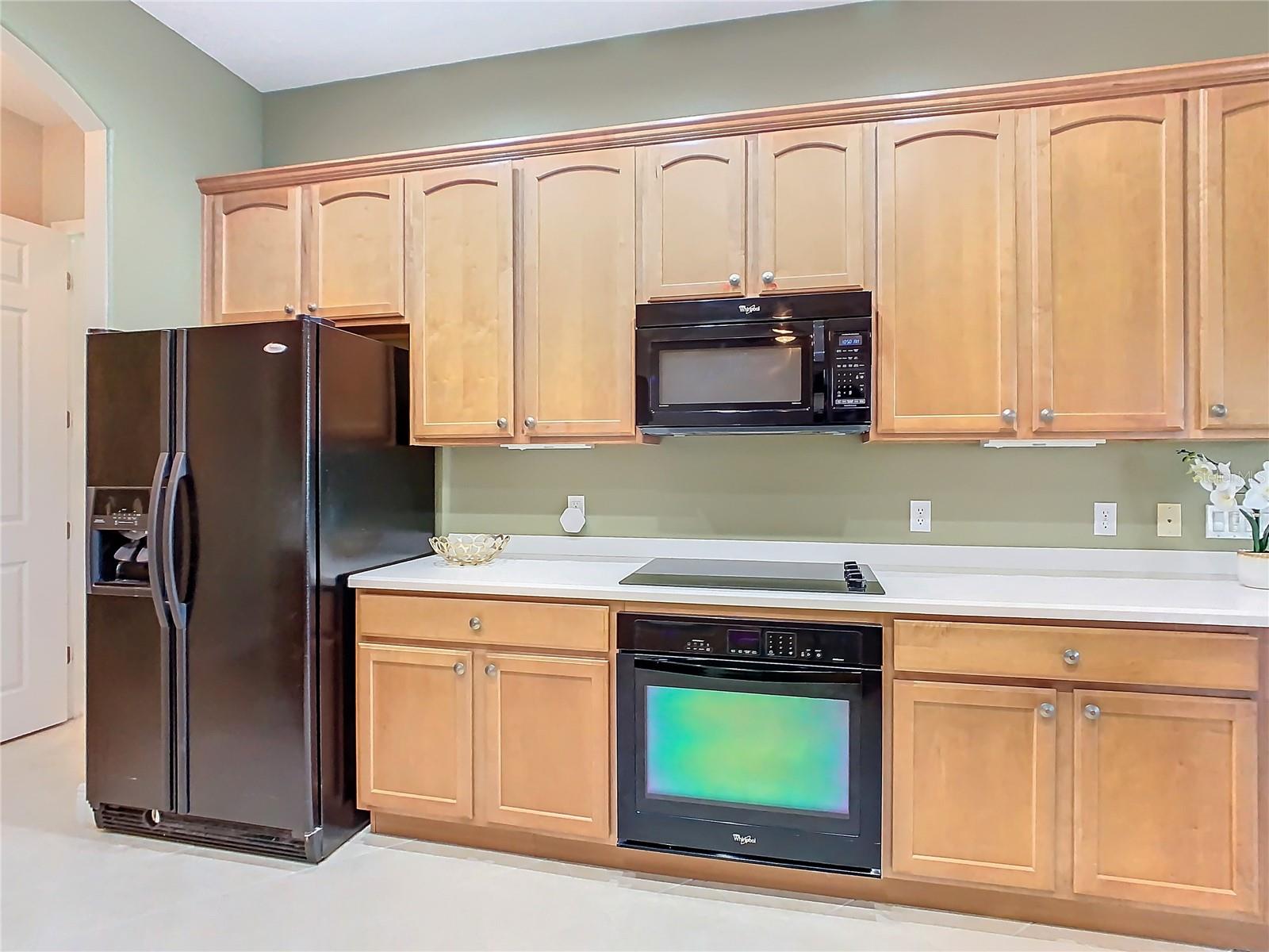 513 VITERRA CT, KISSIMMEE, FL, 34759