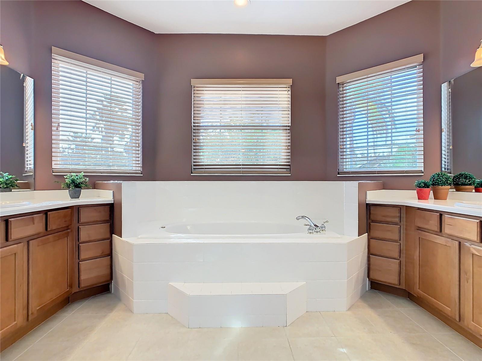 513 VITERRA CT, KISSIMMEE, FL, 34759