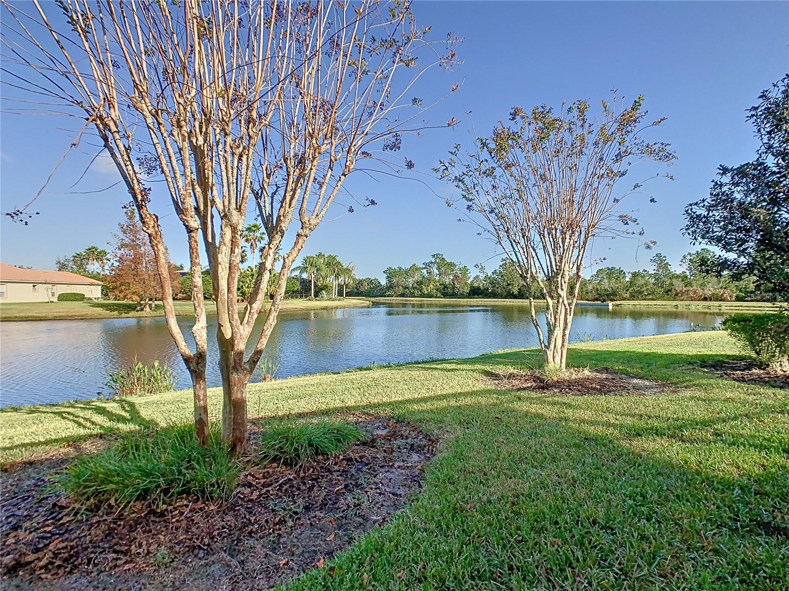 513 VITERRA CT, KISSIMMEE, FL, 34759