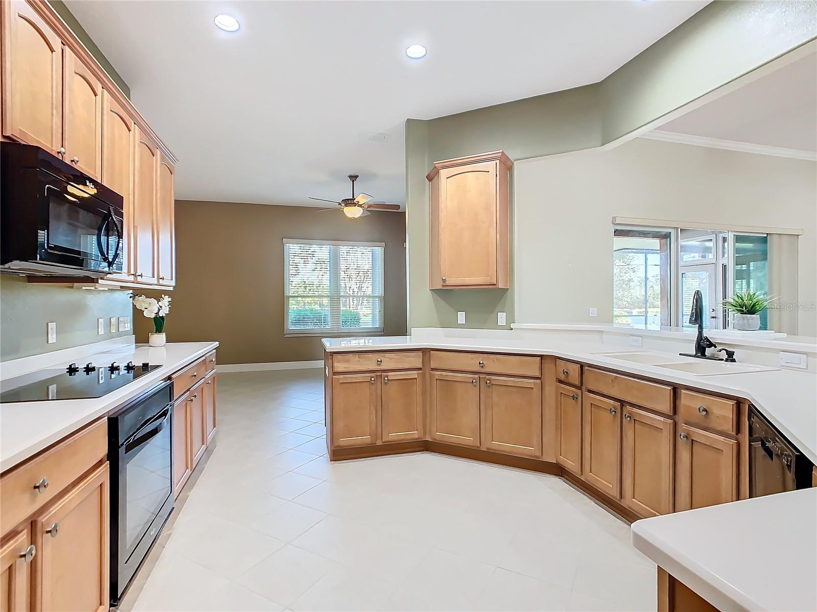 513 VITERRA CT, KISSIMMEE, FL, 34759