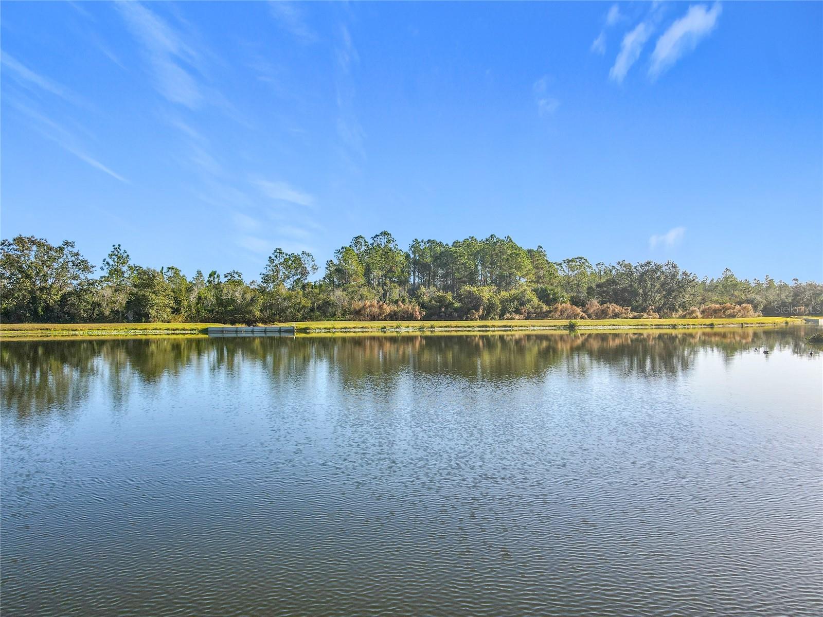 513 VITERRA CT, KISSIMMEE, FL, 34759