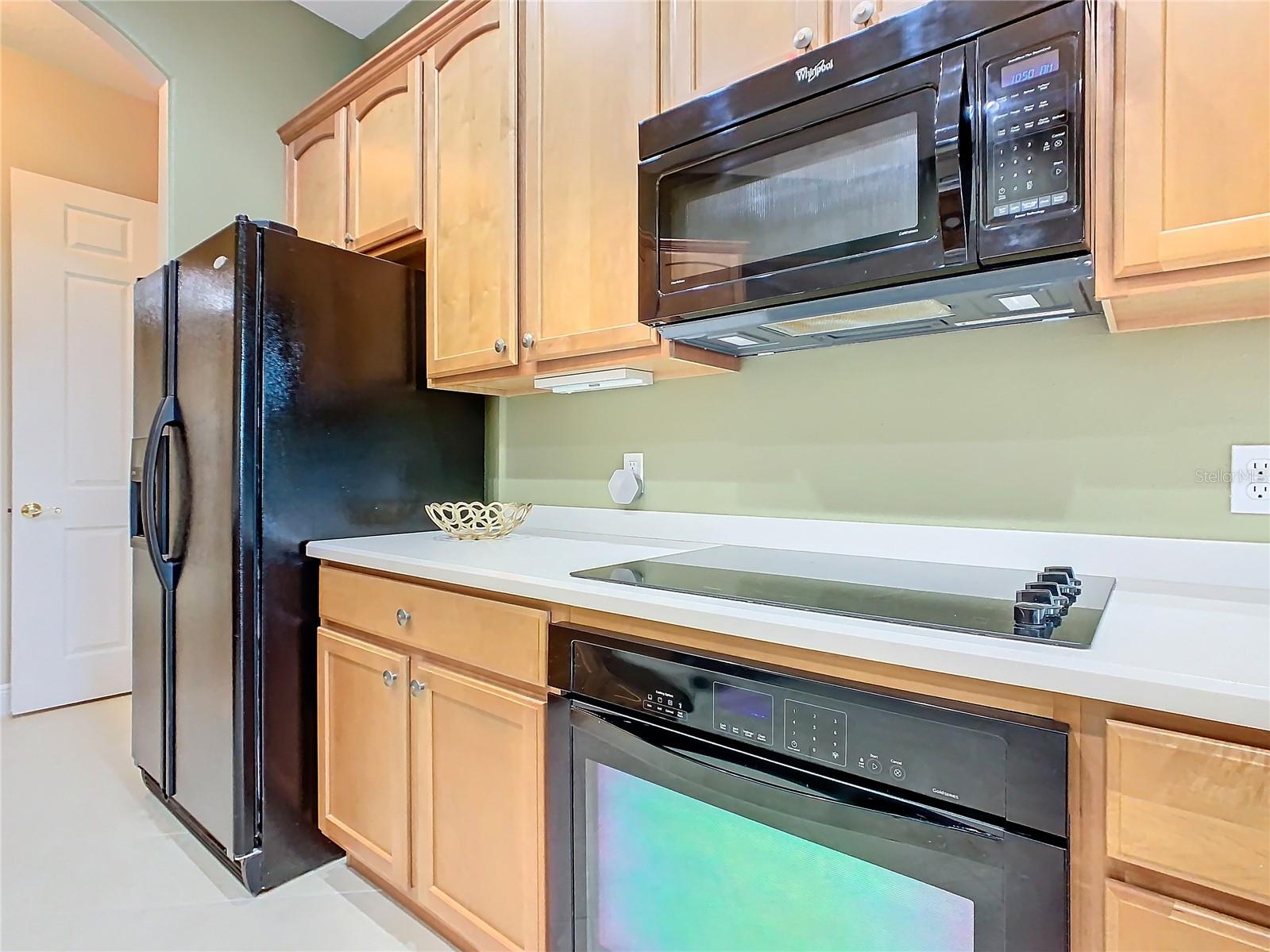 513 VITERRA CT, KISSIMMEE, FL, 34759
