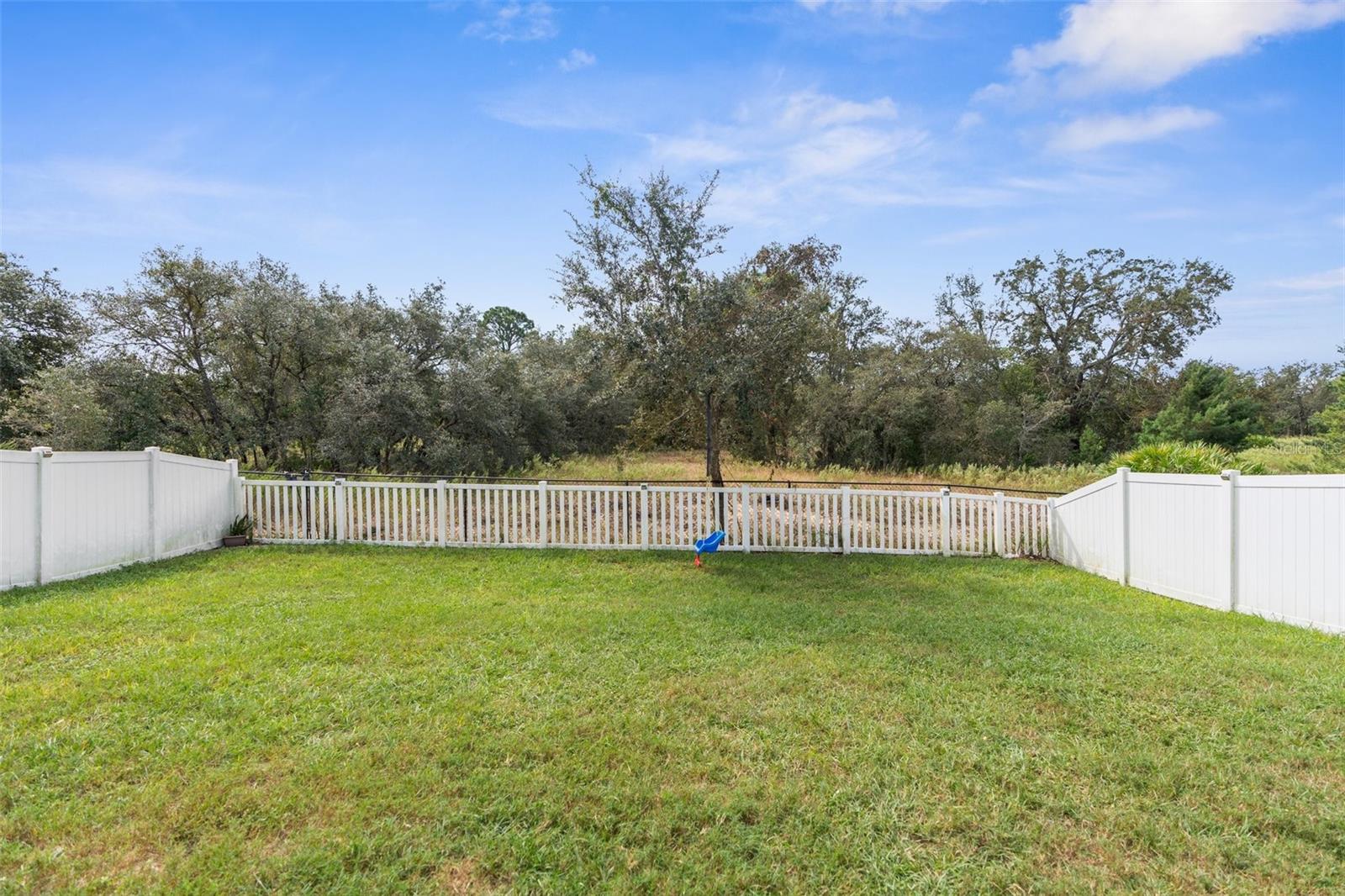 12894 IMPATIENS ST, SPRING HILL, FL, 34609