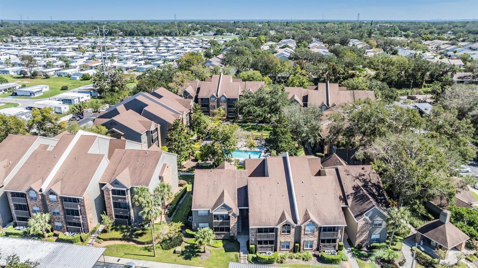 2500 WINDING CREEK BLVD #D204, CLEARWATER, FL, 33761