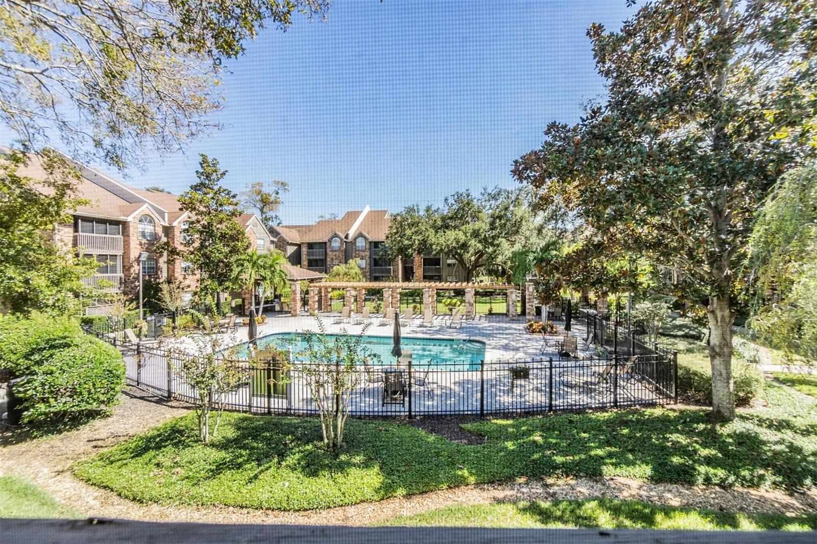 2500 WINDING CREEK BLVD #D204, CLEARWATER, FL, 33761