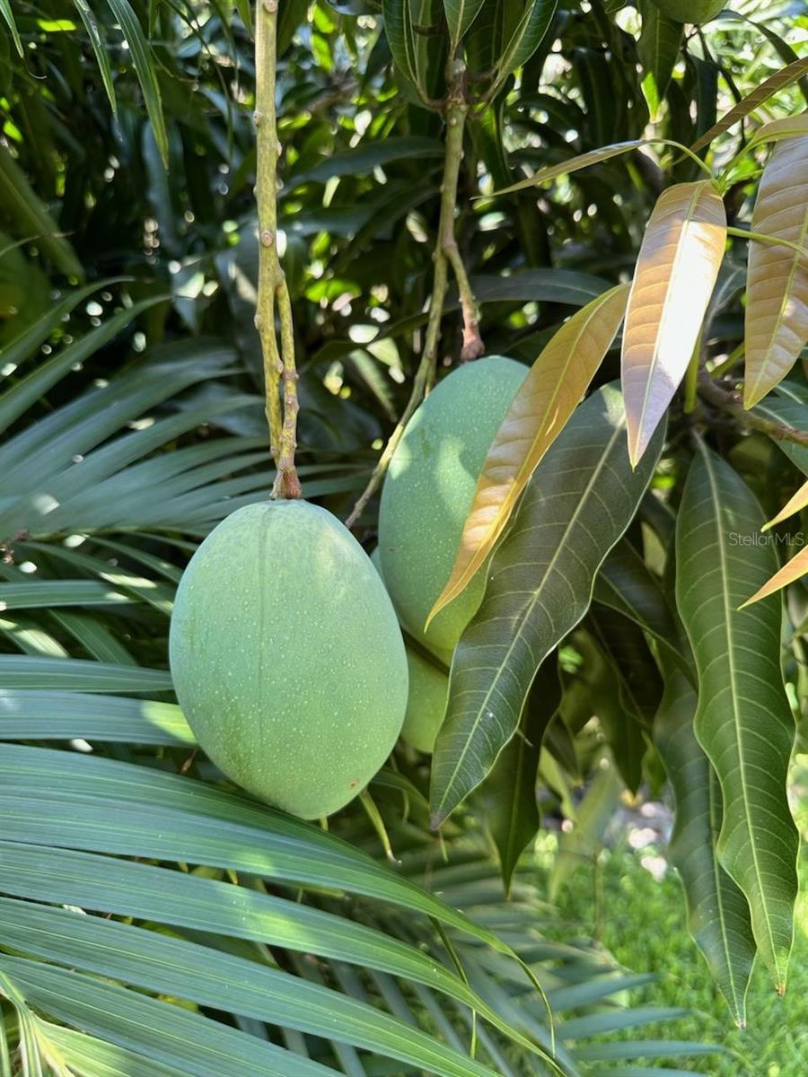 6703 WILLOW LAKE CIR, FORT MYERS, FL, 33966