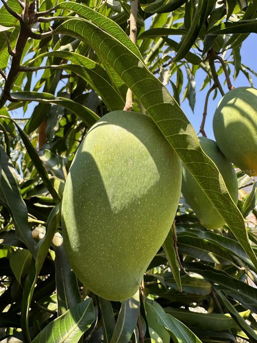 6703 WILLOW LAKE CIR, FORT MYERS, FL, 33966