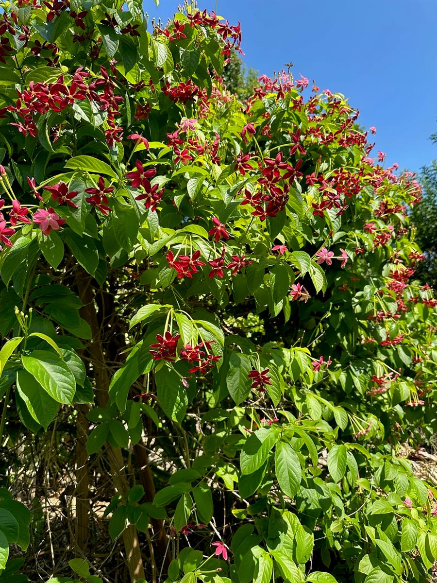 6703 WILLOW LAKE CIR, FORT MYERS, FL, 33966