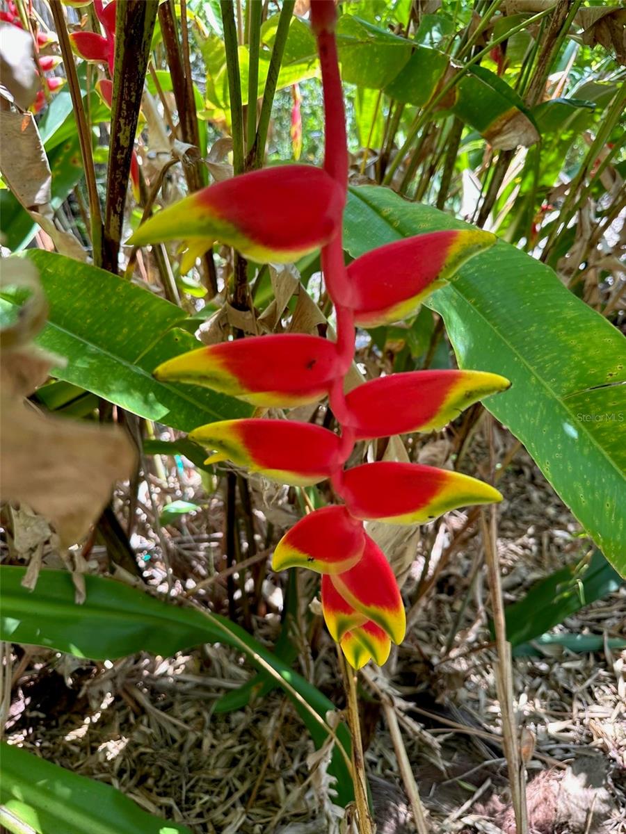 6703 WILLOW LAKE CIR, FORT MYERS, FL, 33966