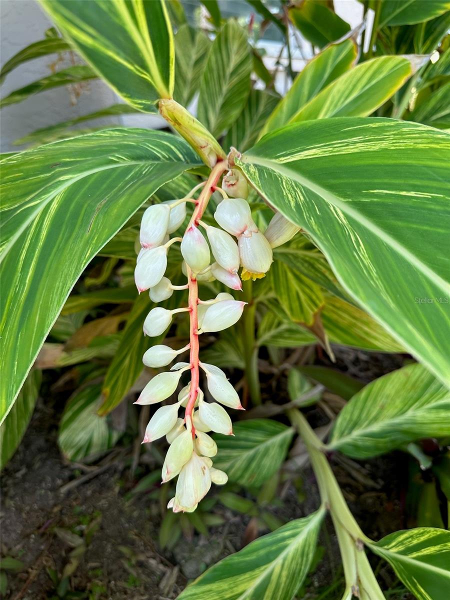 6703 WILLOW LAKE CIR, FORT MYERS, FL, 33966