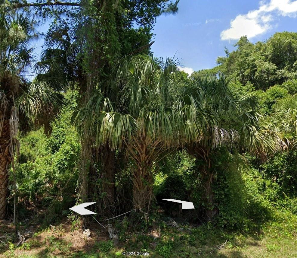 317 DORMAN ST, PORT CHARLOTTE, FL, 33953
