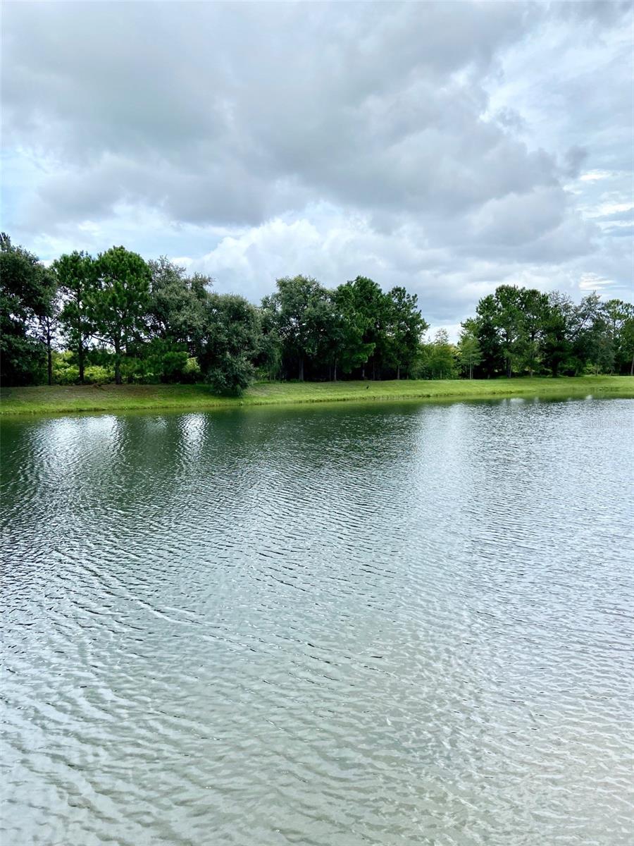 2539 AVENTURINE ST, KISSIMMEE, FL, 34744