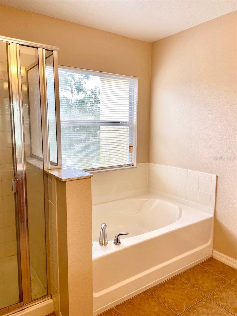 2539 AVENTURINE ST, KISSIMMEE, FL, 34744