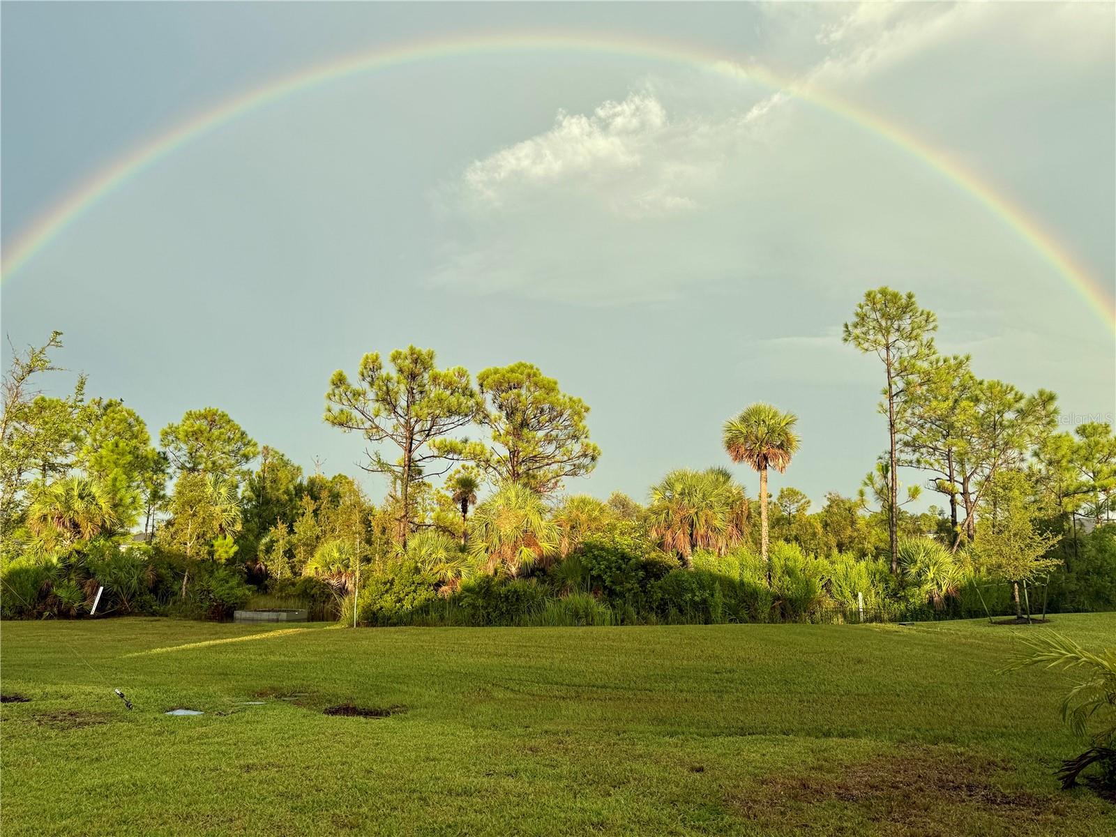 19060 MOSCATO CT, VENICE, FL, 34293