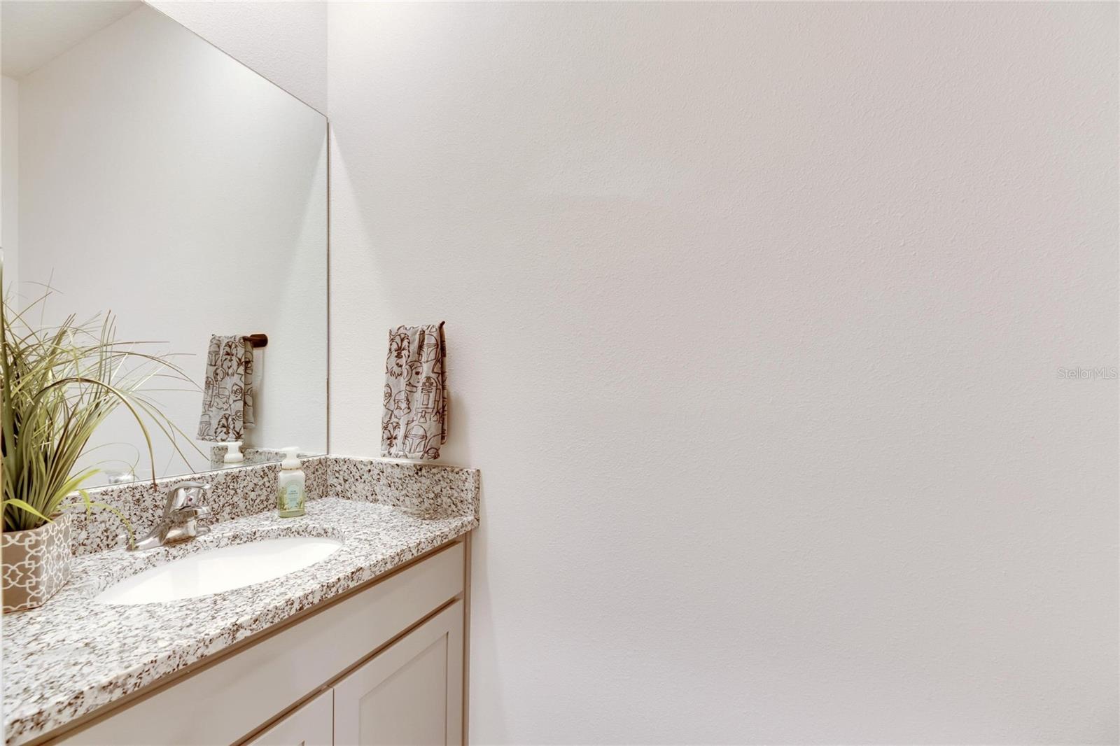 3808 CAPRI COAST DR, PLANT CITY, FL, 33565