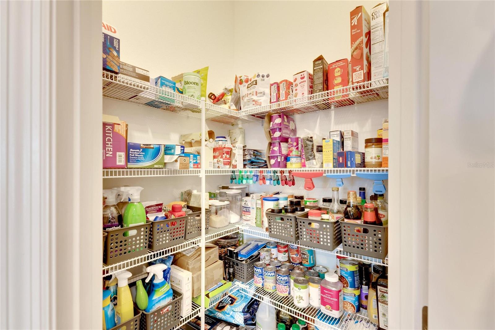 3808 CAPRI COAST DR, PLANT CITY, FL, 33565