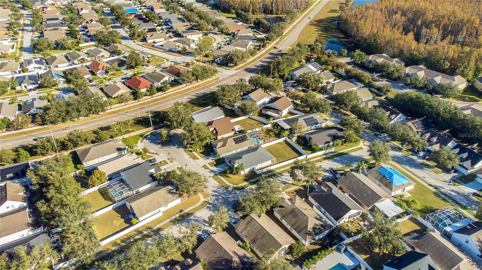 3002 FOREST FERN CT, LAND O LAKES, FL, 34638