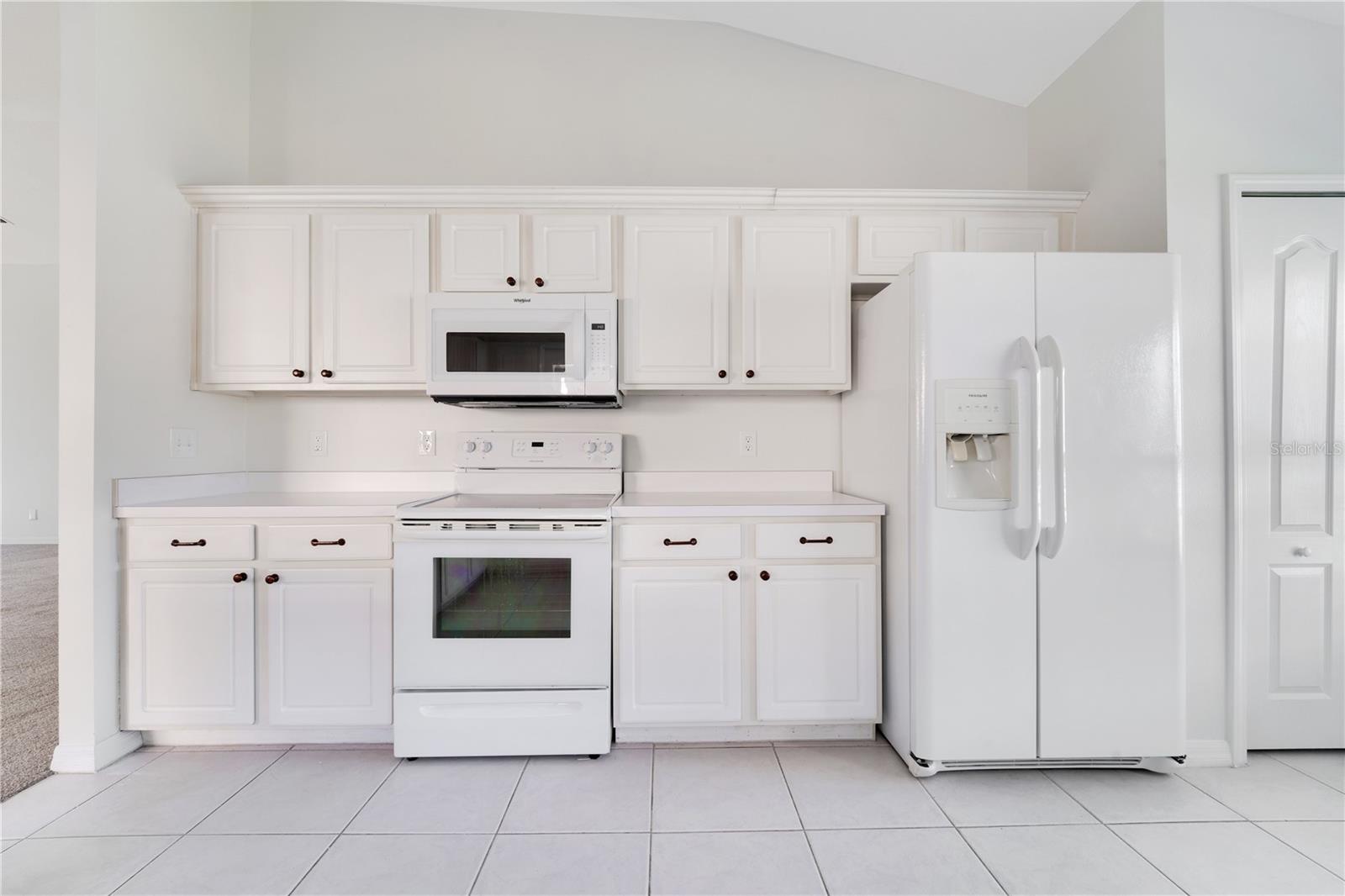 3002 FOREST FERN CT, LAND O LAKES, FL, 34638