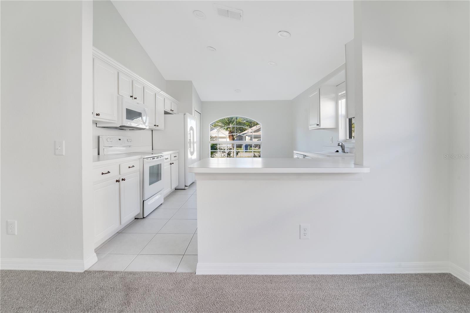 3002 FOREST FERN CT, LAND O LAKES, FL, 34638