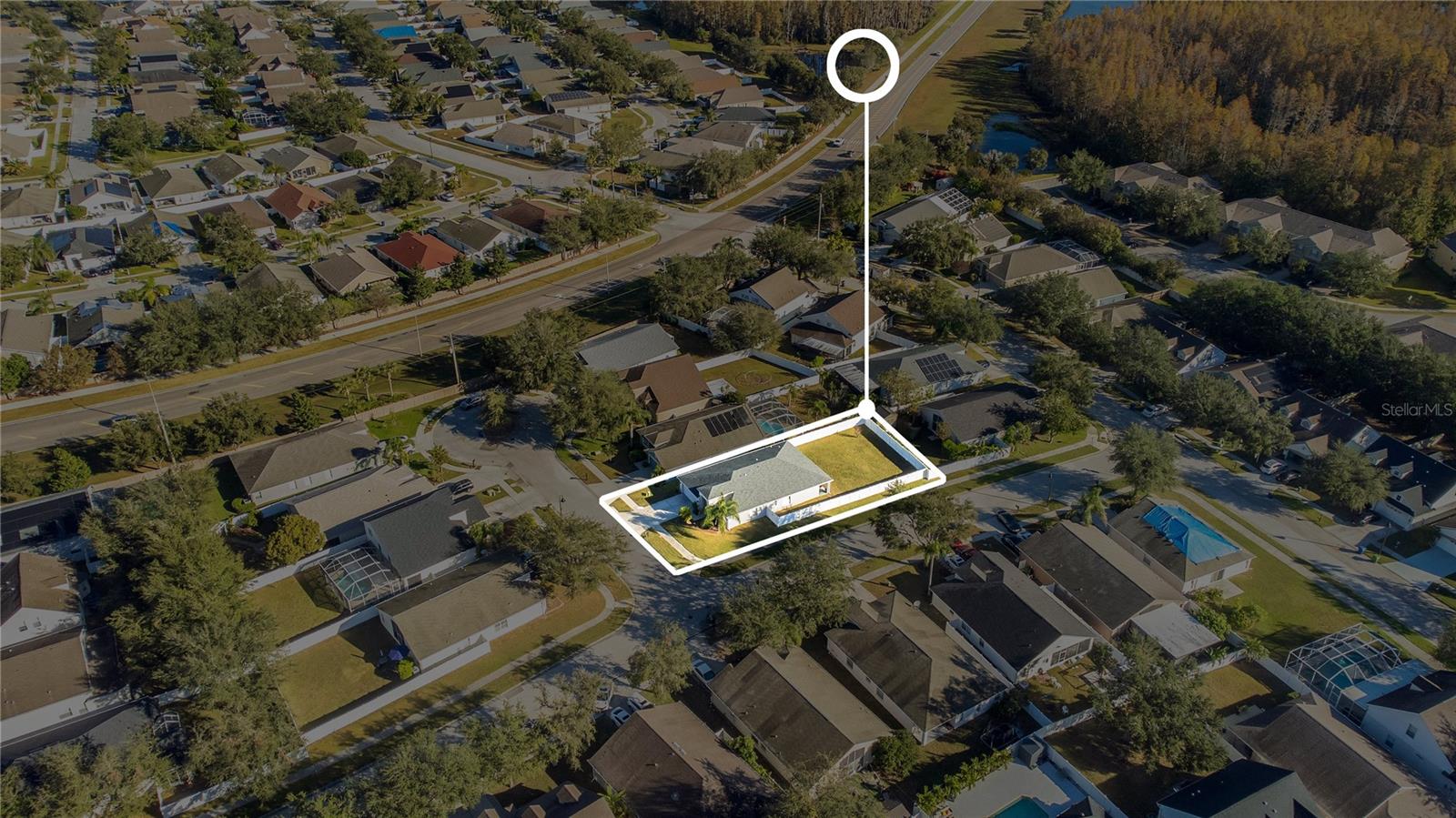 3002 FOREST FERN CT, LAND O LAKES, FL, 34638