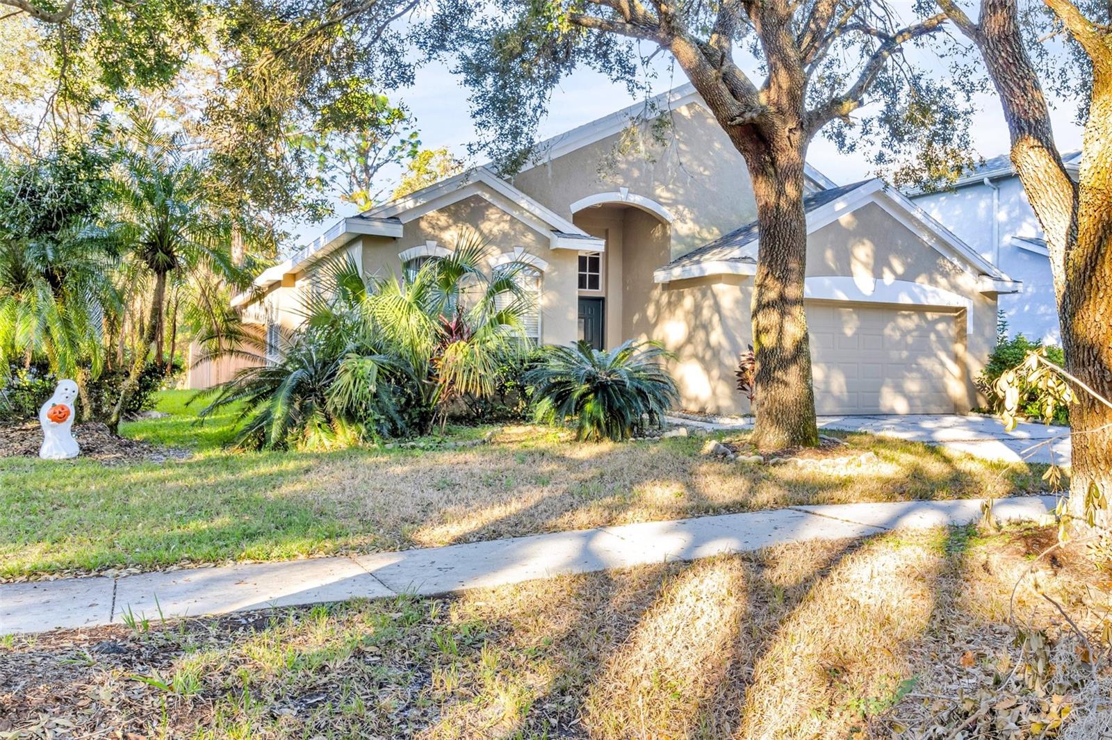 18124 ANTIETAM CT, TAMPA, FL, 33647