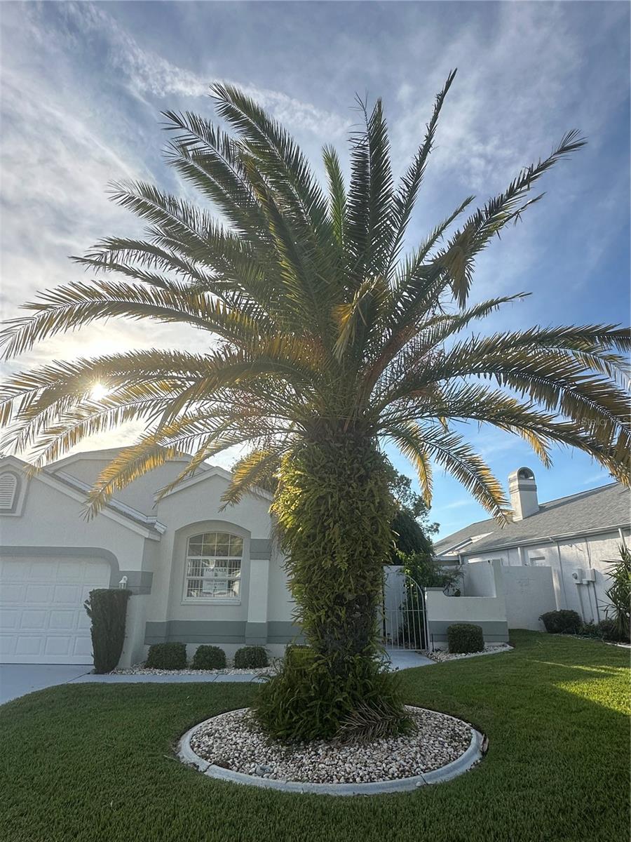 10435 CASA GRANDE CIR, SPRING HILL, FL, 34608