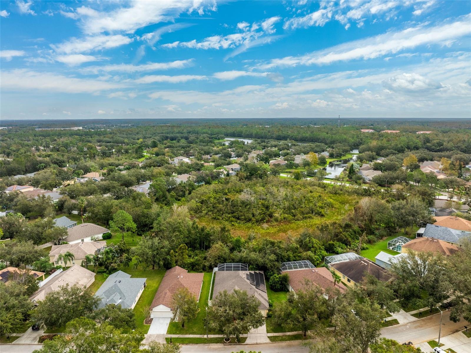 19117 DOVE CREEK DR, TAMPA, FL, 33647