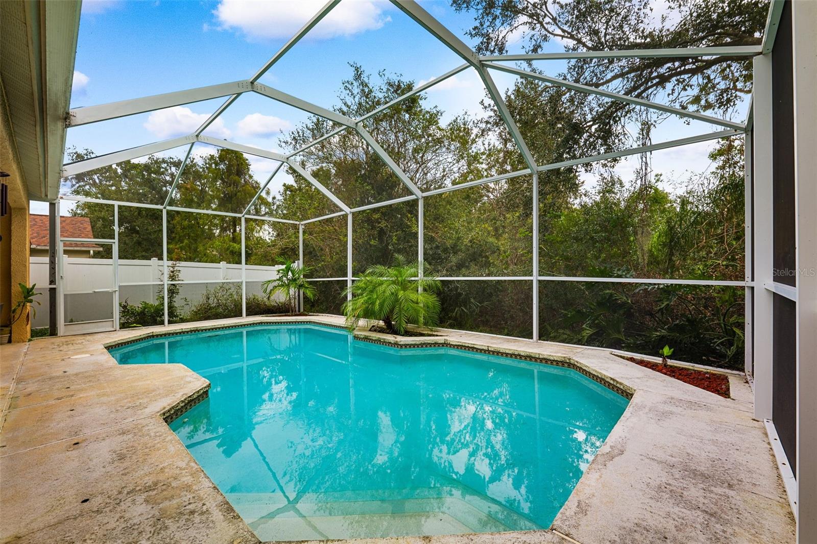 19117 DOVE CREEK DR, TAMPA, FL, 33647