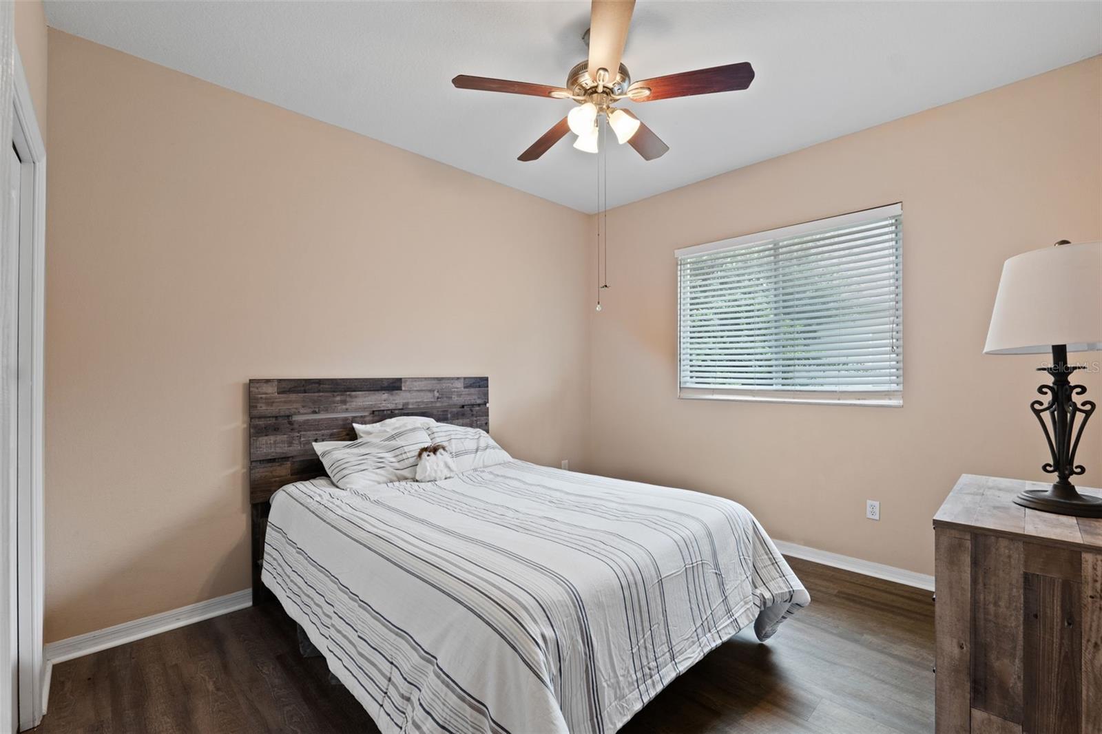 19117 DOVE CREEK DR, TAMPA, FL, 33647