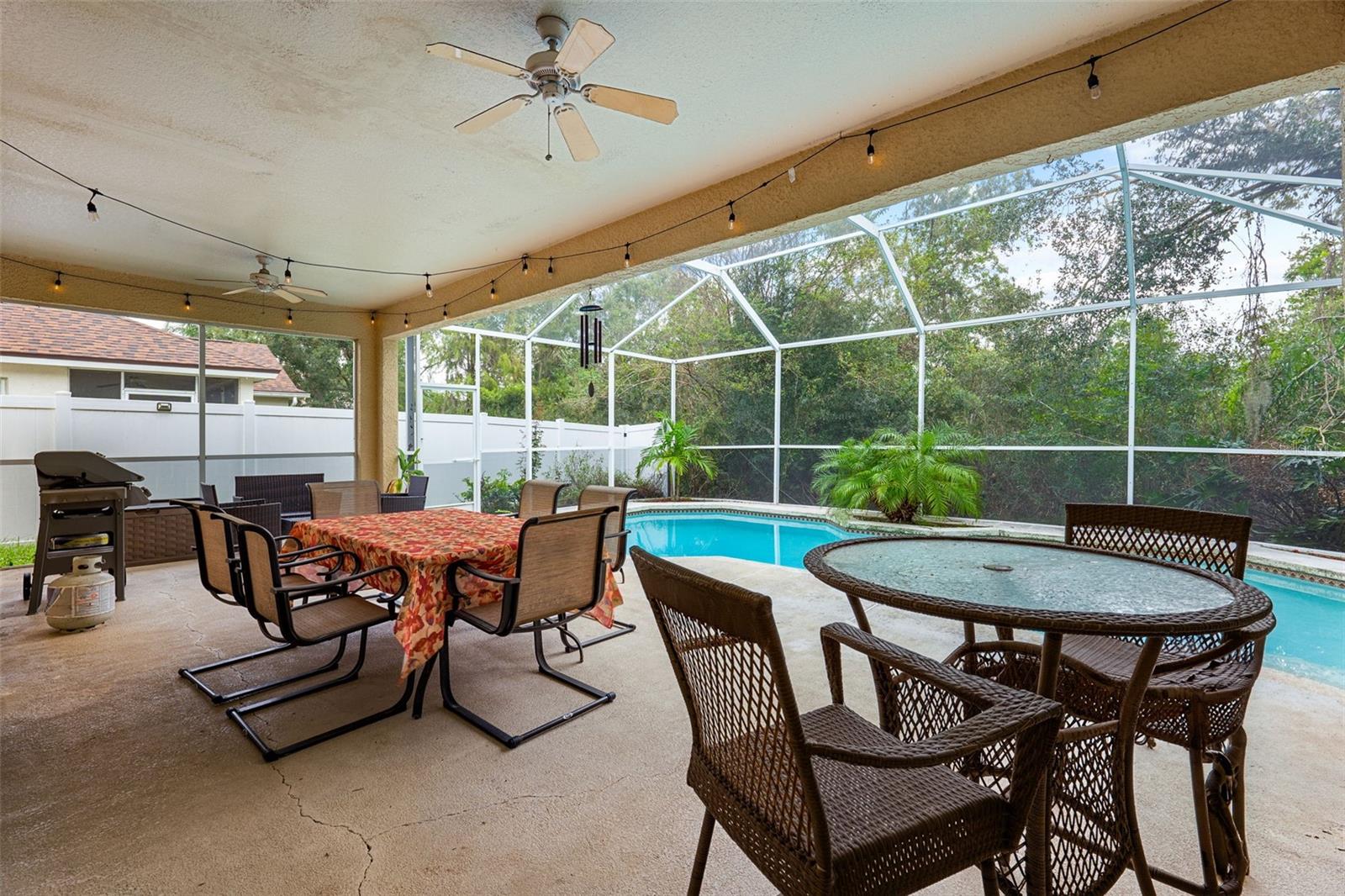 19117 DOVE CREEK DR, TAMPA, FL, 33647