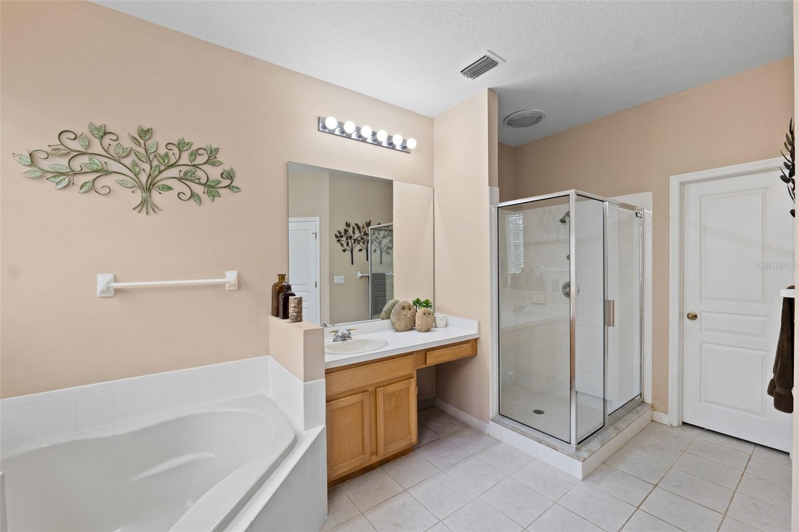 19117 DOVE CREEK DR, TAMPA, FL, 33647