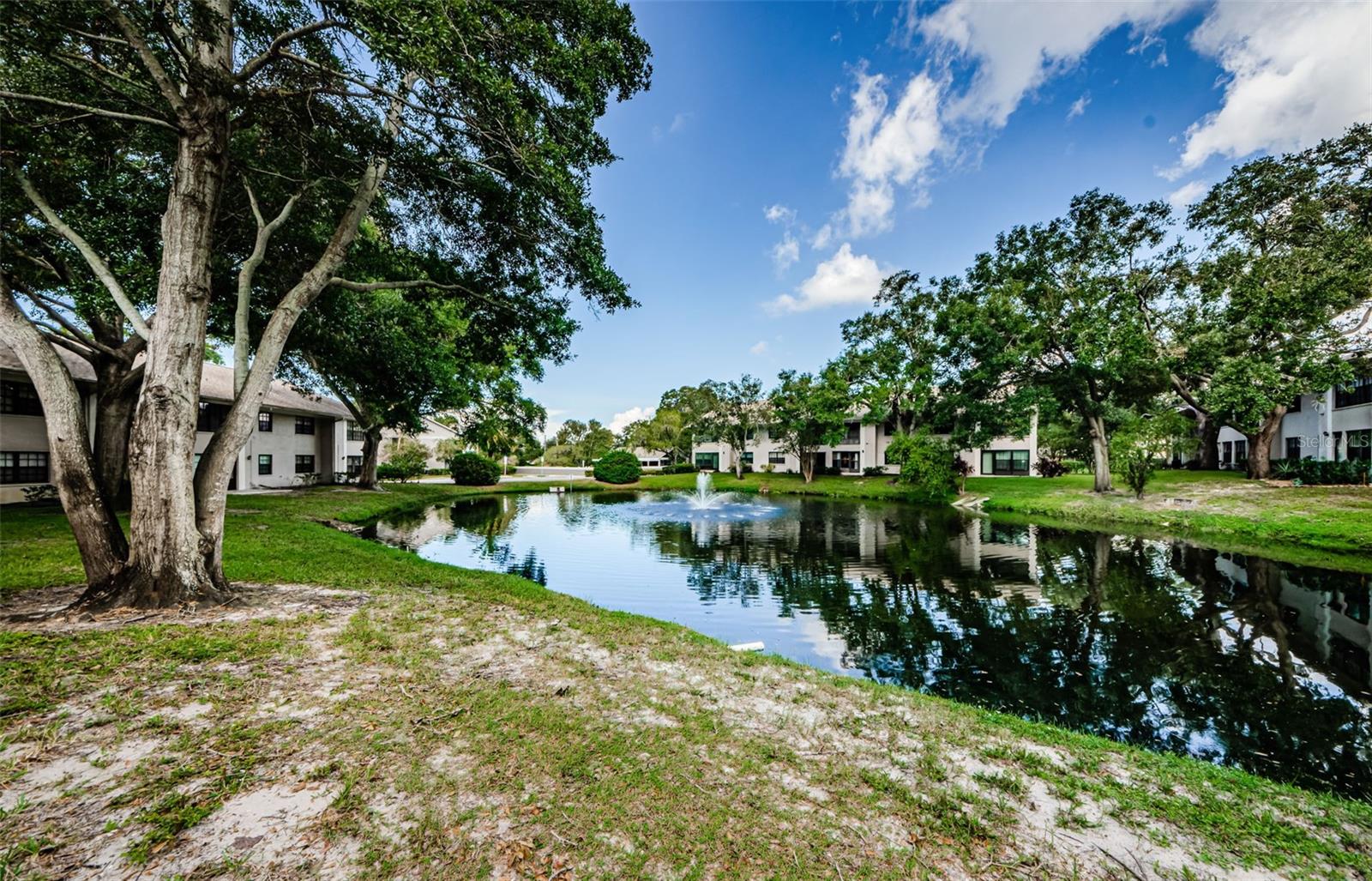 2150 ELM ST #603, DUNEDIN, FL, 34698