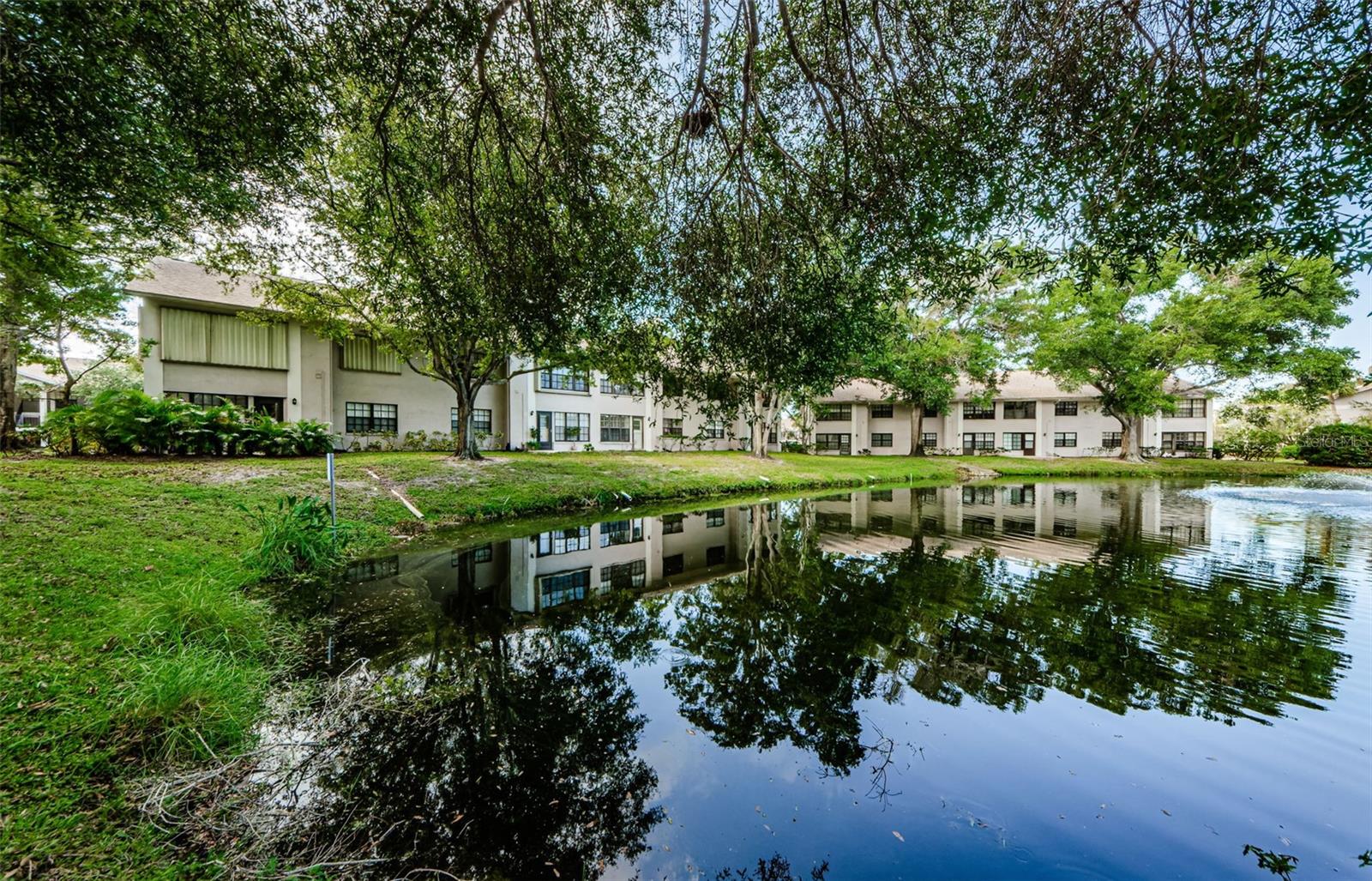 2150 ELM ST #603, DUNEDIN, FL, 34698