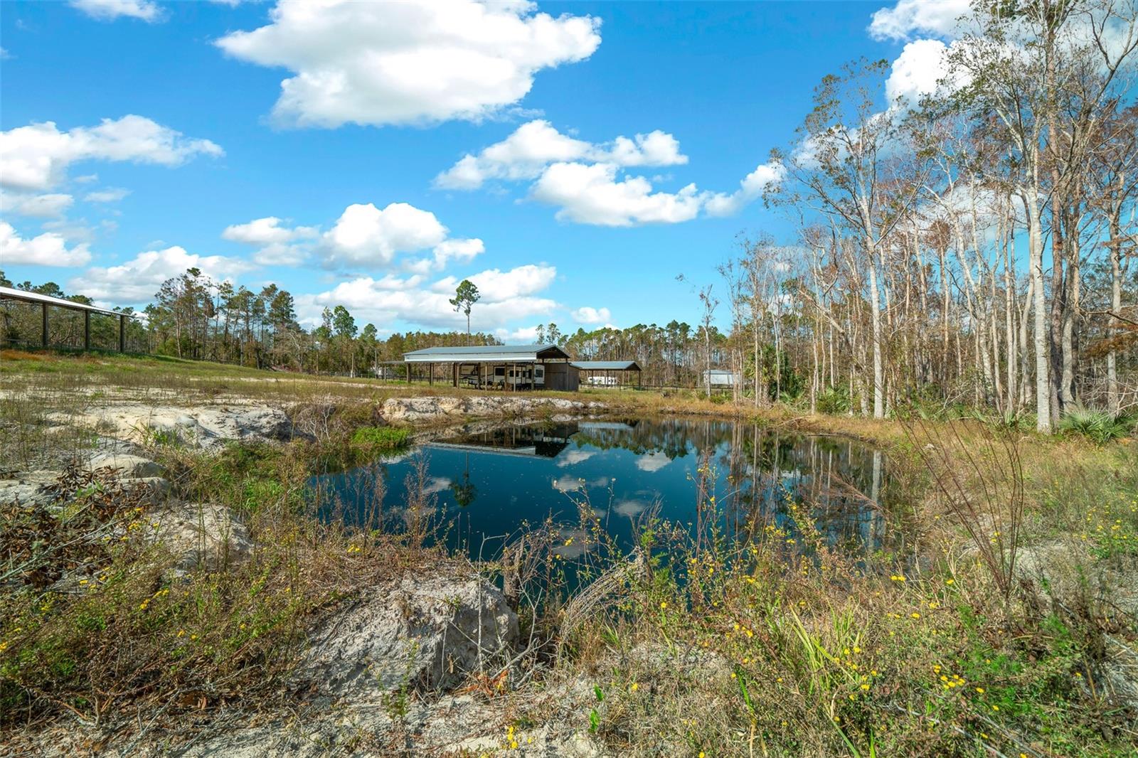 1208 PINE HILL DR, STEINHATCHEE, FL, 32359