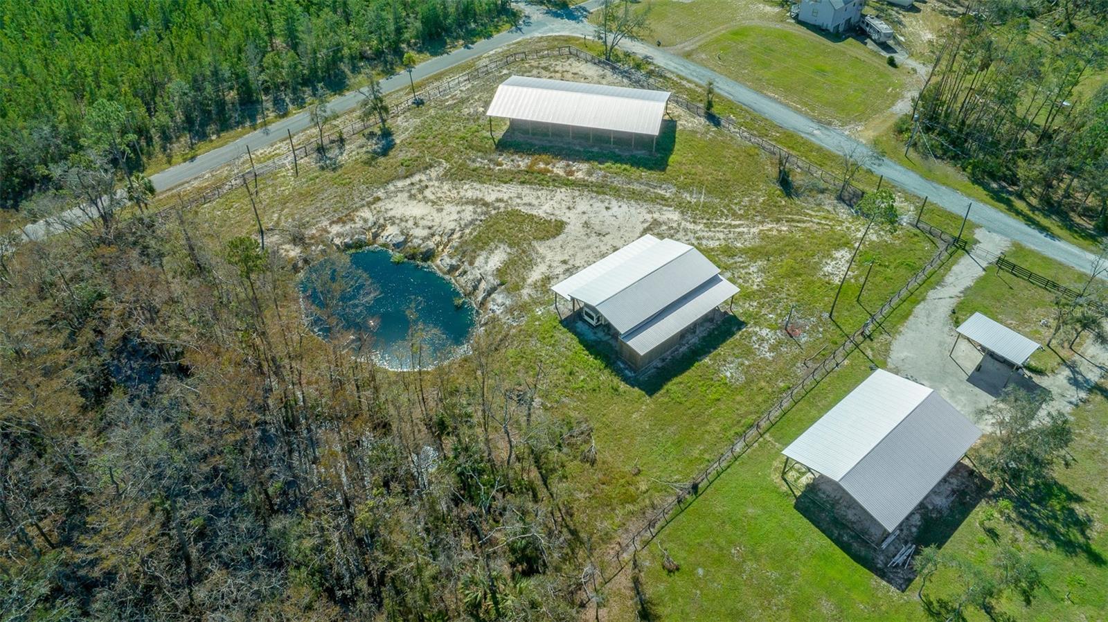 1208 PINE HILL DR, STEINHATCHEE, FL, 32359