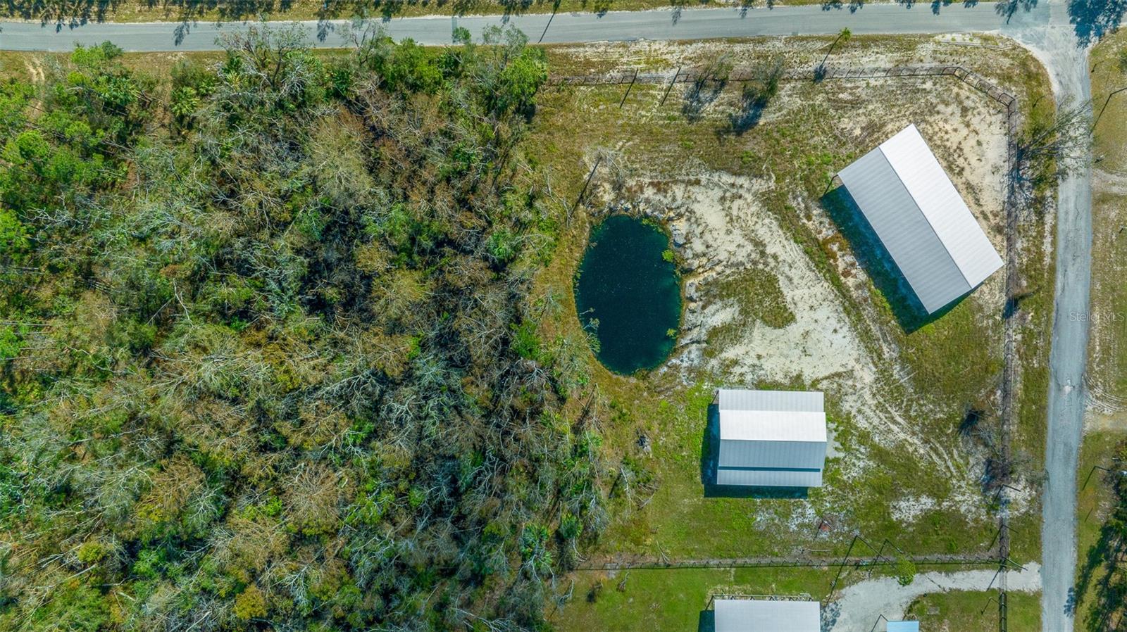 1208 PINE HILL DR, STEINHATCHEE, FL, 32359