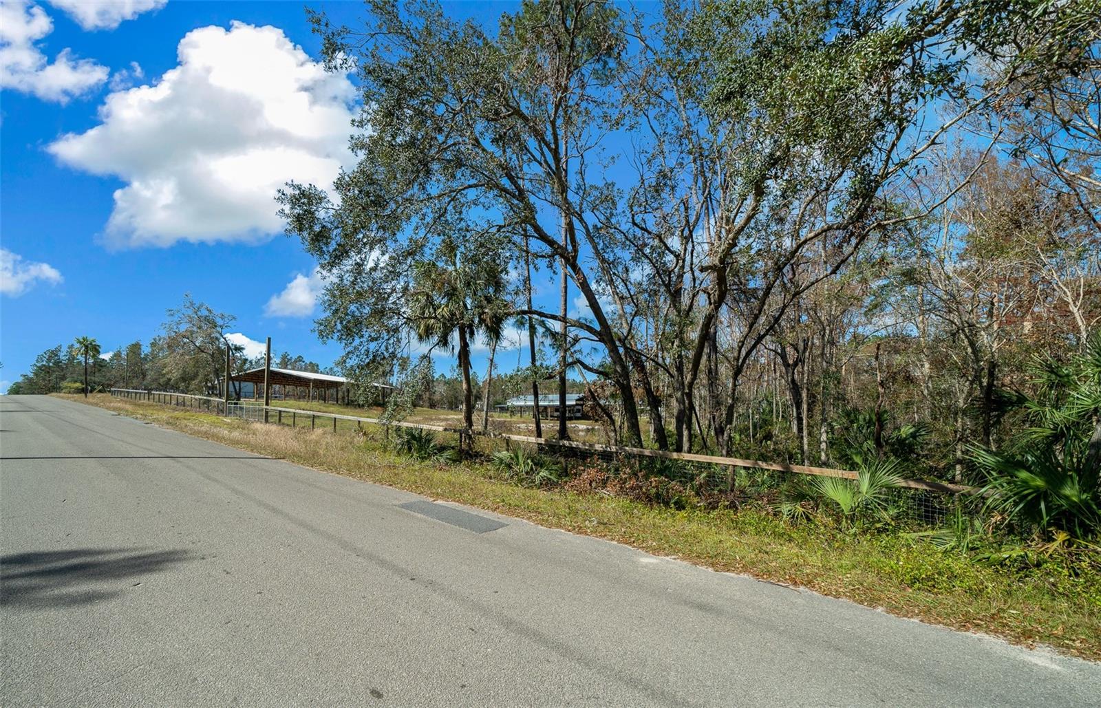 1208 PINE HILL DR, STEINHATCHEE, FL, 32359