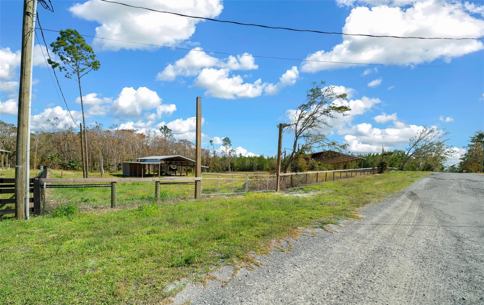 1208 PINE HILL DR, STEINHATCHEE, FL, 32359