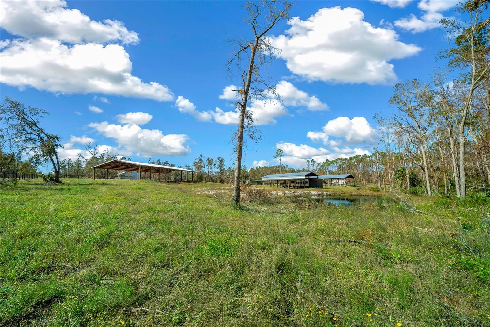 1208 PINE HILL DR, STEINHATCHEE, FL, 32359