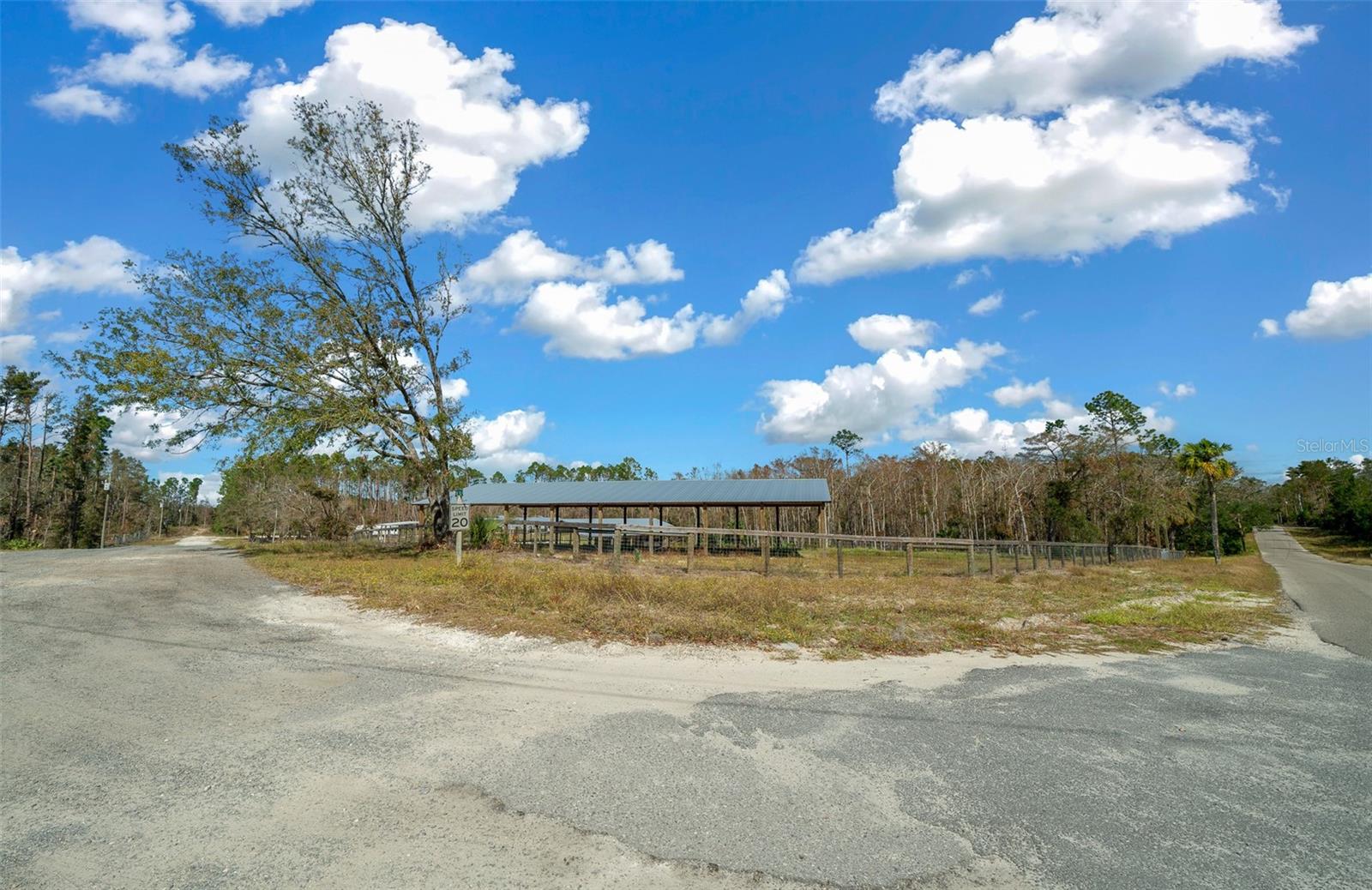 1208 PINE HILL DR, STEINHATCHEE, FL, 32359
