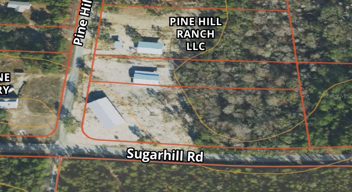 1208 PINE HILL DR, STEINHATCHEE, FL, 32359