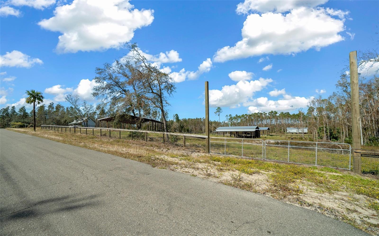 1208 PINE HILL DR, STEINHATCHEE, FL, 32359
