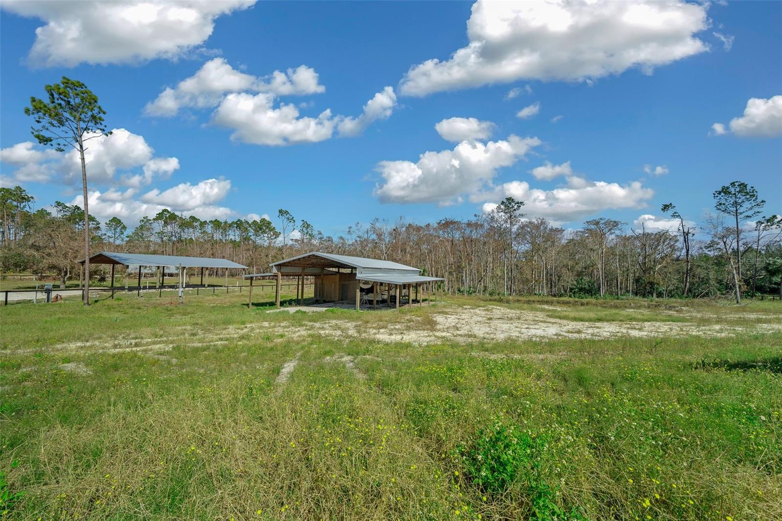1208 PINE HILL DR, STEINHATCHEE, FL, 32359