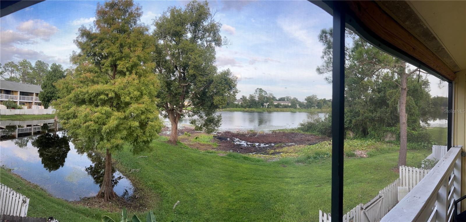 4401 DYLAN LOOP #168, LAND O LAKES, FL, 34639